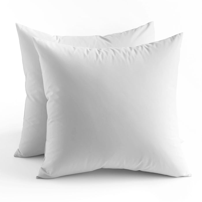 Pillow Inserts