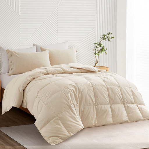 Organic Cotton Down Comforter