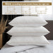 Queen Size Goose Feather Down Pillow,